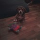 Jugando ♥